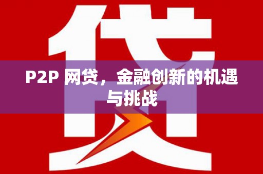 泽普P2P 网贷，金融创新的机遇与挑战