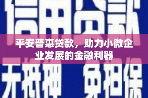 泽普平安普惠贷款，助力小微企业发展的金融利器
