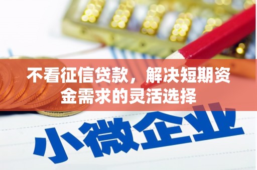 泽普不看征信贷款，解决短期资金需求的灵活选择