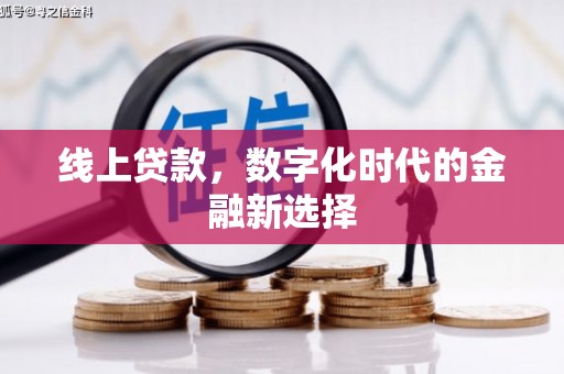 泽普线上贷款，数字化时代的金融新选择