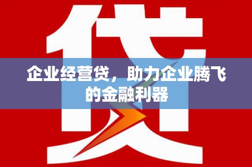 泽普企业经营贷，助力企业腾飞的金融利器