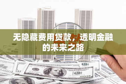 泽普无隐藏费用贷款，透明金融的未来之路