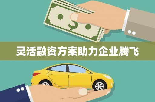 泽普灵活融资方案助力企业腾飞