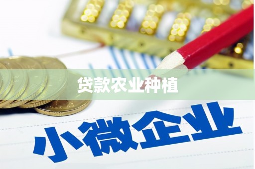 泽普贷款农业种植