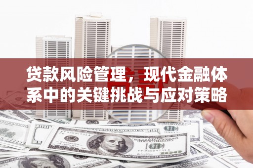 泽普贷款风险管理，现代金融体系中的关键挑战与应对策略