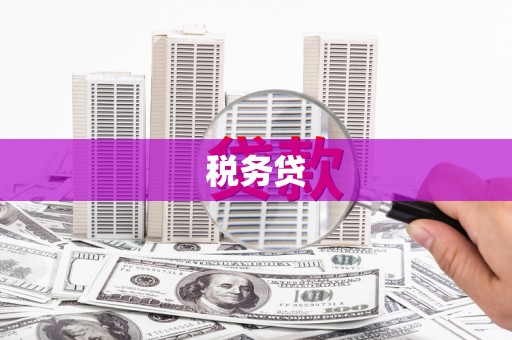 泽普税务贷