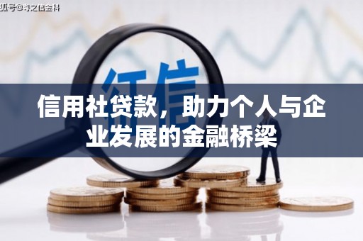 泽普信用社贷款，助力个人与企业发展的金融桥梁