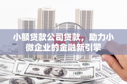 泽普小额贷款公司贷款，助力小微企业的金融新引擎