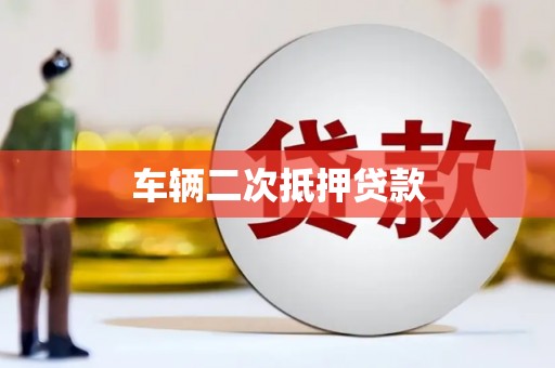 泽普车辆二次抵押贷款