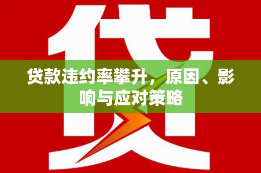 泽普贷款违约率攀升，原因、影响与应对策略