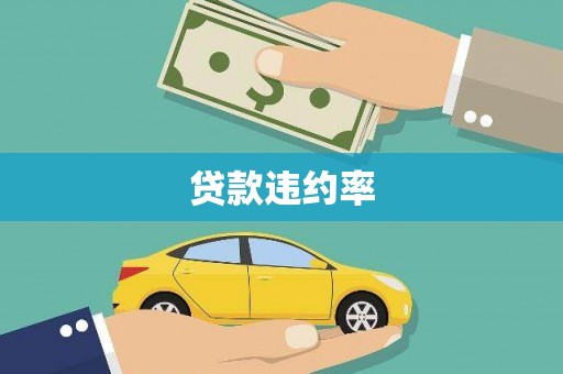 泽普贷款违约率