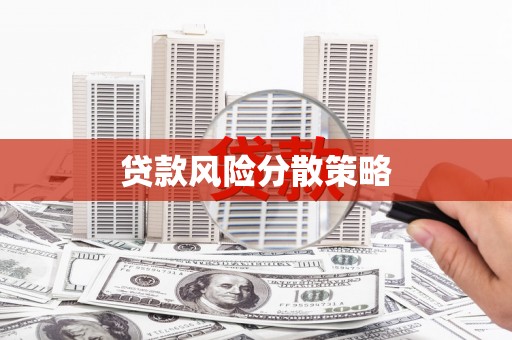 泽普贷款风险分散策略