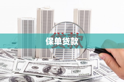 泽普保单贷款