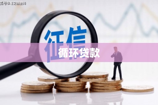 泽普循环贷款