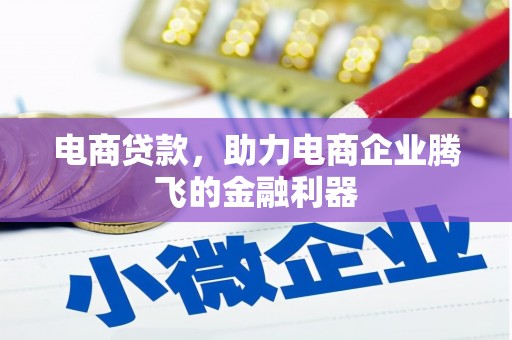 泽普电商贷款，助力电商企业腾飞的金融利器