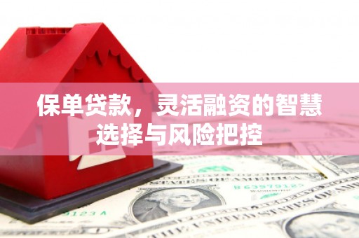 泽普保单贷款，灵活融资的智慧选择与风险把控