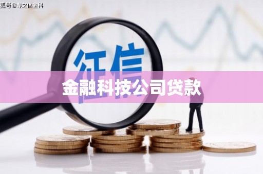 泽普金融科技公司贷款