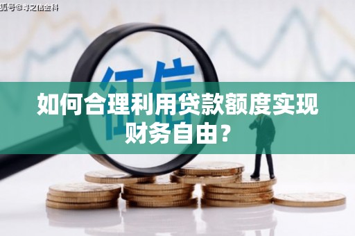 泽普如何合理利用贷款额度实现财务自由？