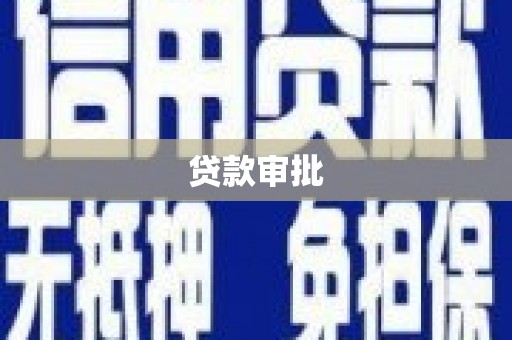 泽普贷款审批