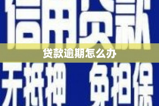 泽普贷款逾期怎么办