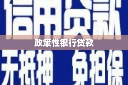 泽普政策性银行贷款