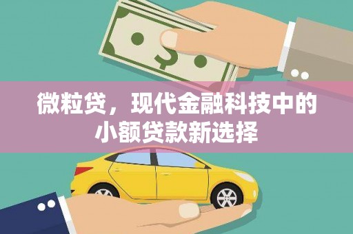 泽普微粒贷，现代金融科技中的小额贷款新选择