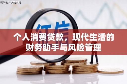 泽普个人消费贷款，现代生活的财务助手与风险管理