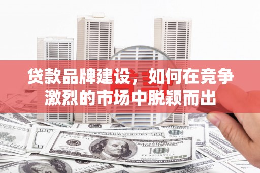 泽普贷款品牌建设，如何在竞争激烈的市场中脱颖而出