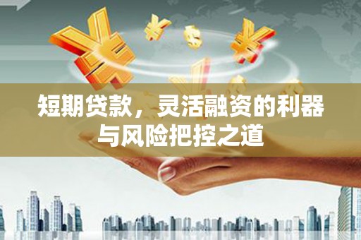 泽普短期贷款，灵活融资的利器与风险把控之道
