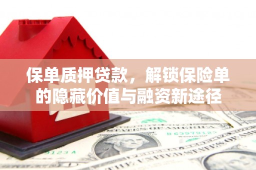 泽普保单质押贷款，解锁保险单的隐藏价值与融资新途径