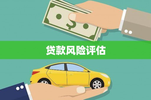 泽普贷款风险评估