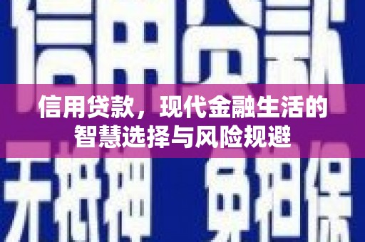 泽普信用贷款，现代金融生活的智慧选择与风险规避