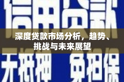 泽普深度贷款市场分析，趋势、挑战与未来展望