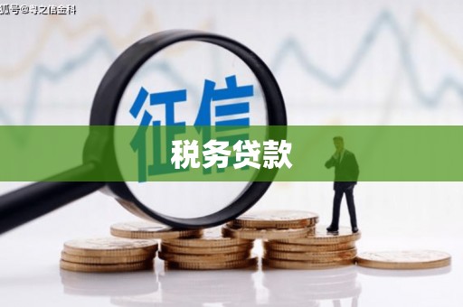 泽普税务贷款