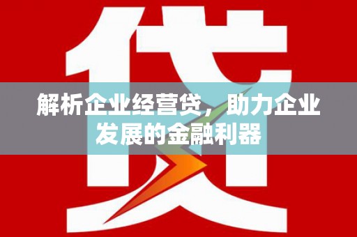 泽普解析企业经营贷，助力企业发展的金融利器