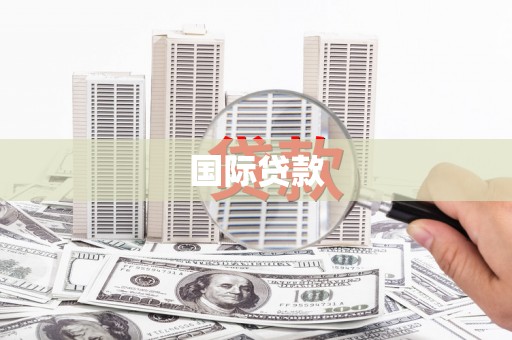 泽普国际贷款