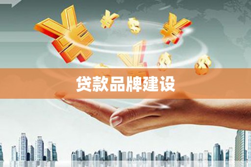 泽普贷款品牌建设