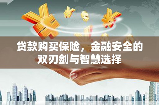 泽普贷款购买保险，金融安全的双刃剑与智慧选择