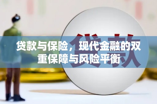 泽普贷款与保险，现代金融的双重保障与风险平衡