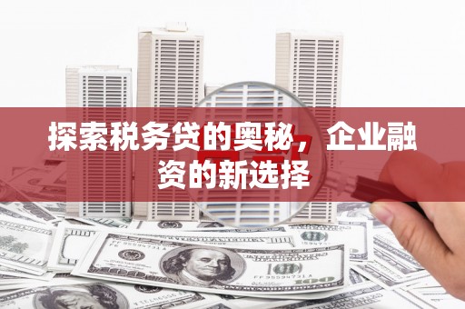 泽普探索税务贷的奥秘，企业融资的新选择
