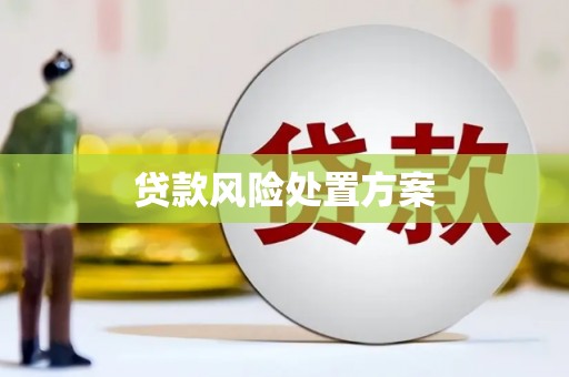 泽普贷款风险处置方案