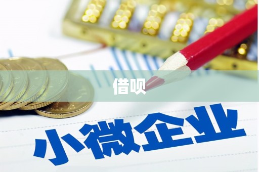 泽普借呗