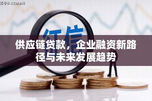 泽普供应链贷款，企业融资新路径与未来发展趋势
