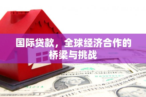 泽普国际贷款，全球经济合作的桥梁与挑战