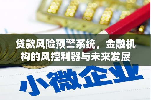 泽普贷款风险预警系统，金融机构的风控利器与未来发展