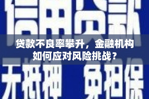 泽普贷款不良率攀升，金融机构如何应对风险挑战？