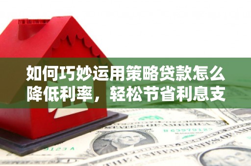泽普如何巧妙运用策略贷款怎么降低利率，轻松节省利息支出