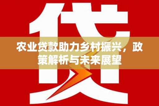 泽普农业贷款助力乡村振兴，政策解析与未来展望