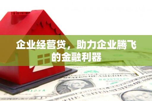 泽普企业经营贷，助力企业腾飞的金融利器