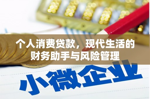 泽普个人消费贷款，现代生活的财务助手与风险管理
